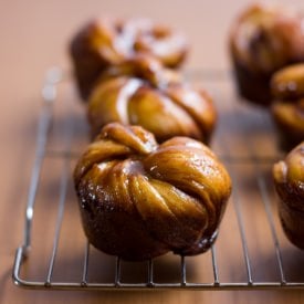 Cinnamon Roses