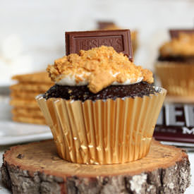 Smore’s Cupcake