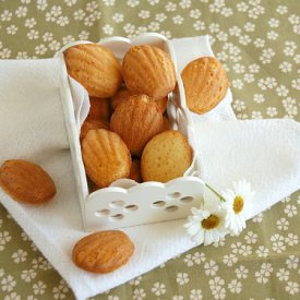 White Chocolate and Lemon Madeleine