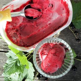 Sorbet Cassis: Blackcurrant Sorbet