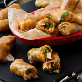 Bicycle Spring Rolls