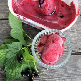 Sorbet Cassis