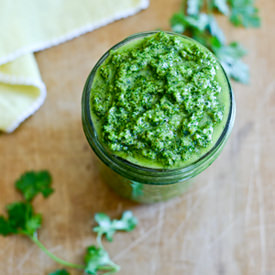 Cilantro Pesto