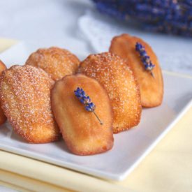 Lavender Madeleines