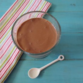 Fat Free Chocolate Banana PB Yogurt