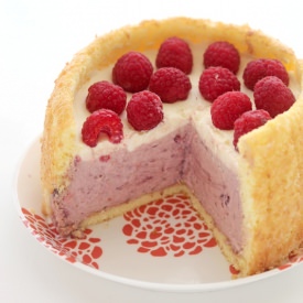 Berry Mousse Toasted Coconut Cake