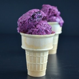 Blueberry Fro-Yo