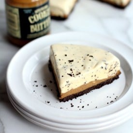Speculoos Ice Cream Cake