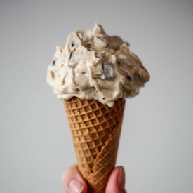Peanut Butter Chocolate Chunk FroYo