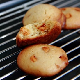 Malted Butterscotch Chip Cookies