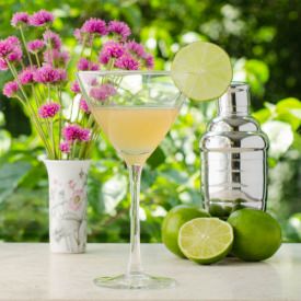 Daiquiri