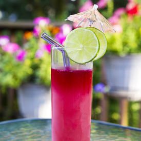 Ginger Lime Hibiscus Cocktail