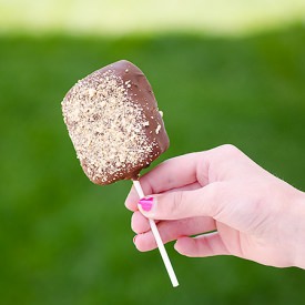 S’mores Pops