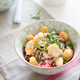 Spelt Salad with Cranberries