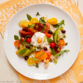 Tomato and Burrata Salad