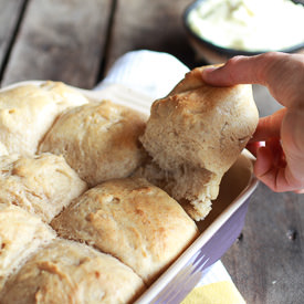 Dinner Rolls