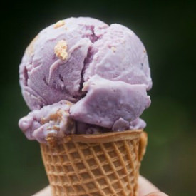 Blueberry Cheesecake Frozen Yogurt