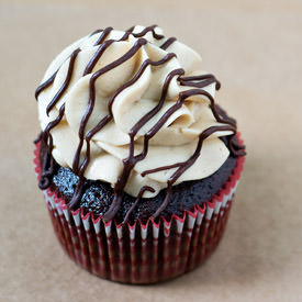 Chocolate Peanut Butter Cupcakes