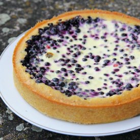 Blueberry Tart