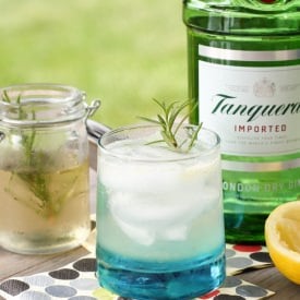 Rosemary Gin Spritzer