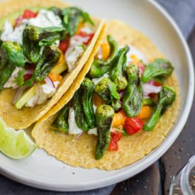 Padron Pepper Tacos