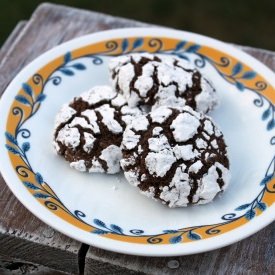 Rich Cocoa Crinkle Cookies