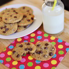 Homemade Chocolate Chip Cookie Mix