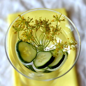 Cucumber Dill Martini