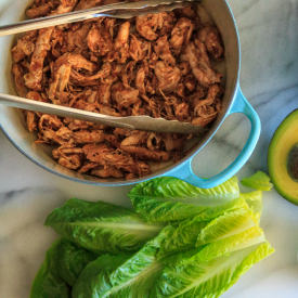 Easy Shredded Chicken