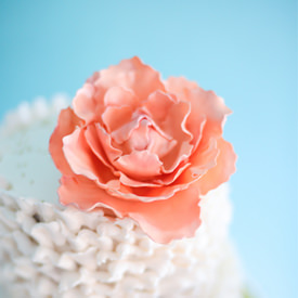 Gumpaste Peony Tutorial