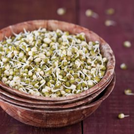 Moong Sprouts
