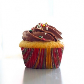 Yellow Cupcake & Chocolate Frosting