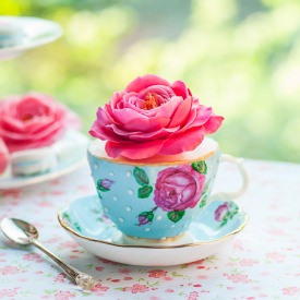 Teacup Cake and Sugar Roses