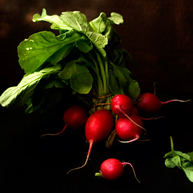 Red Radishes