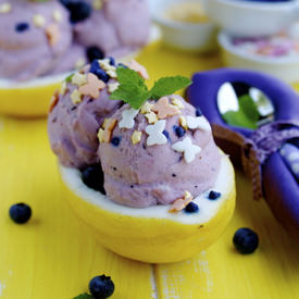 Frozen Blueberry Yogurt