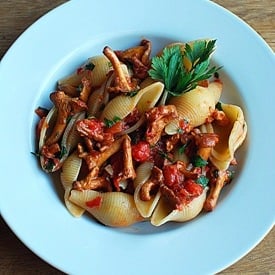 Chanterelle Pasta