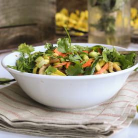 Raw Zucchini Noodles