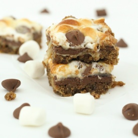 Ooey Gooey Smores Bars