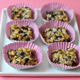 Chocolate Walnut Coconut Bites