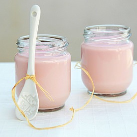Gum Yogurt
