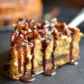 Chocolate Pumpkin Cheesecake