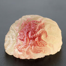 Gumdrop Brains