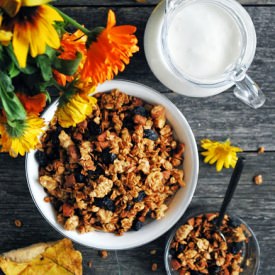 Apple Spice Granola