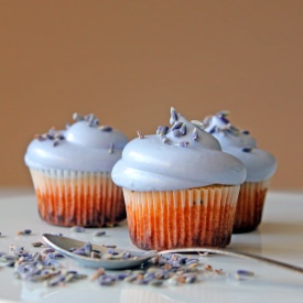 Lavender Cupcake