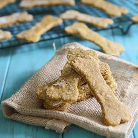 Peanut Butter Pumpkin Dog Treats