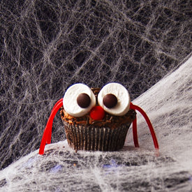 Halloween Spider Cupcakes!
