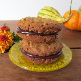 Peanut Butter and Chocolate Cookie