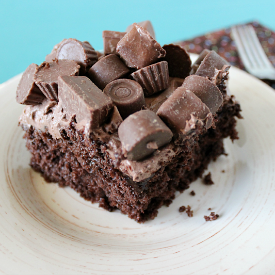 Chocolate Wasted Poke Cake