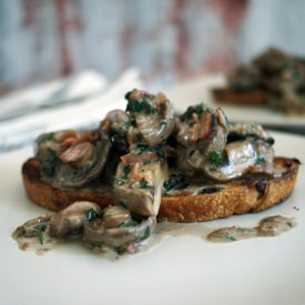 Creamy Mushrooms on Toast