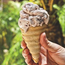 Homemade Ice Cream Cones